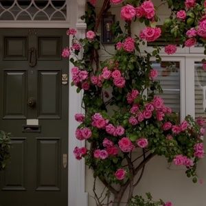 Meet your Posher, Hera